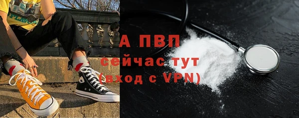 ПСИЛОЦИБИНОВЫЕ ГРИБЫ Киренск