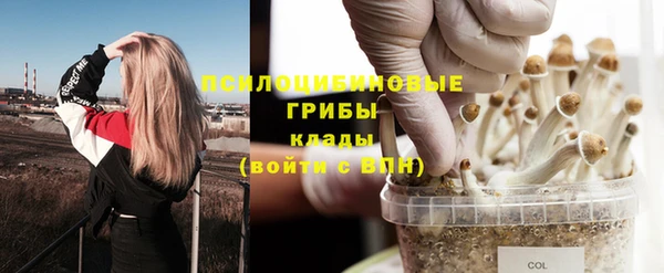 ПСИЛОЦИБИНОВЫЕ ГРИБЫ Киренск